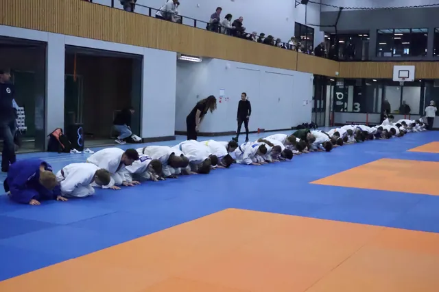 Judoka’s maken gezamenlijk een buiging